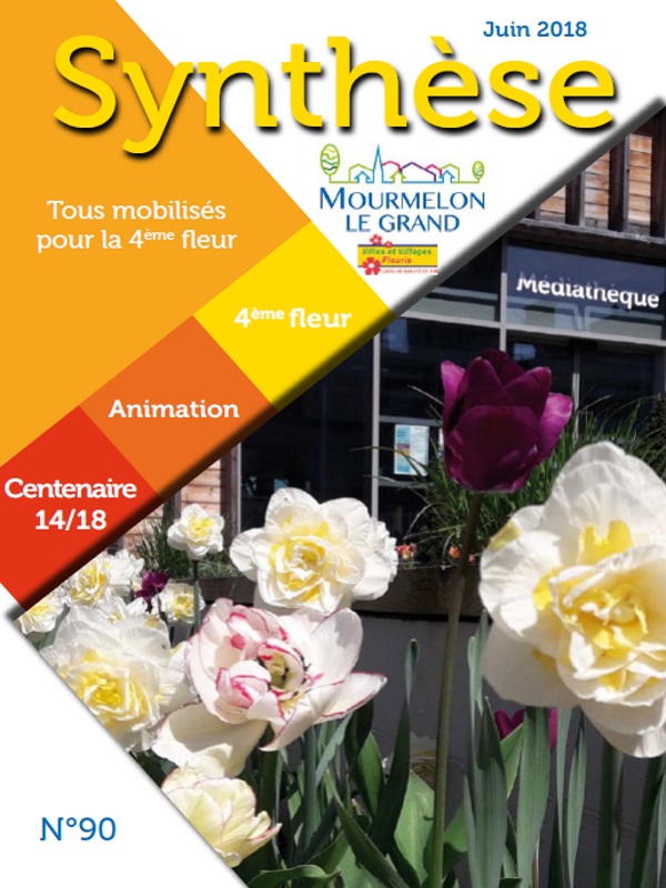 Mourmelon Synthese 90 juin2018