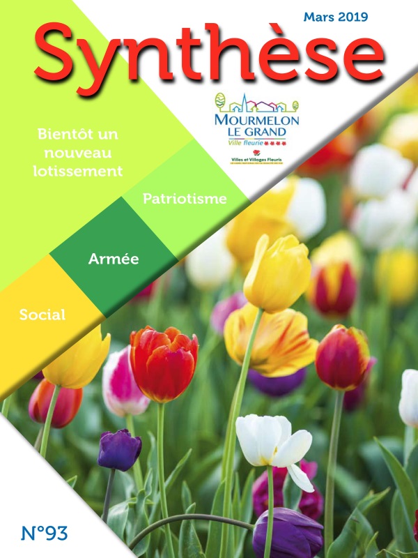 Mourmelon Synthese 93 mars 2019