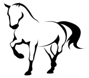 Mourmelon concours equestres