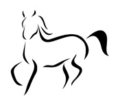 Mourmelon-concours-equitation
