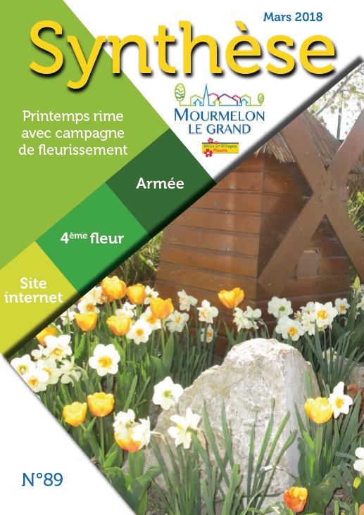 Synthese 89 mars2018