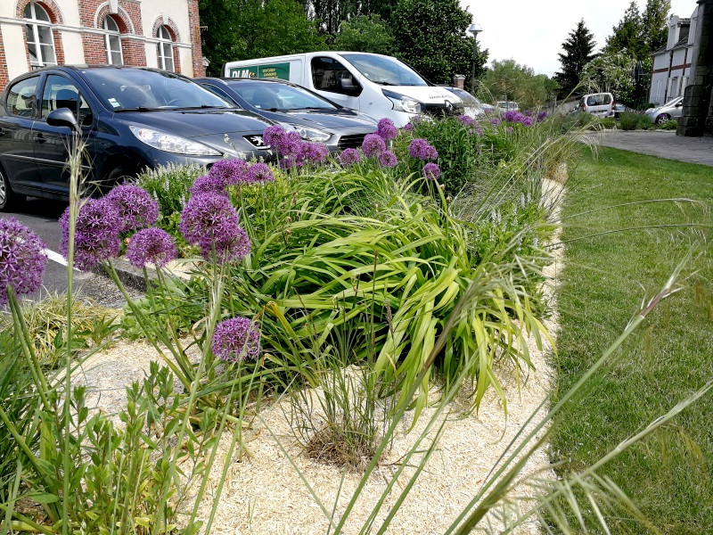 Mourmelon fleurissement printemps 23 05 2018 2