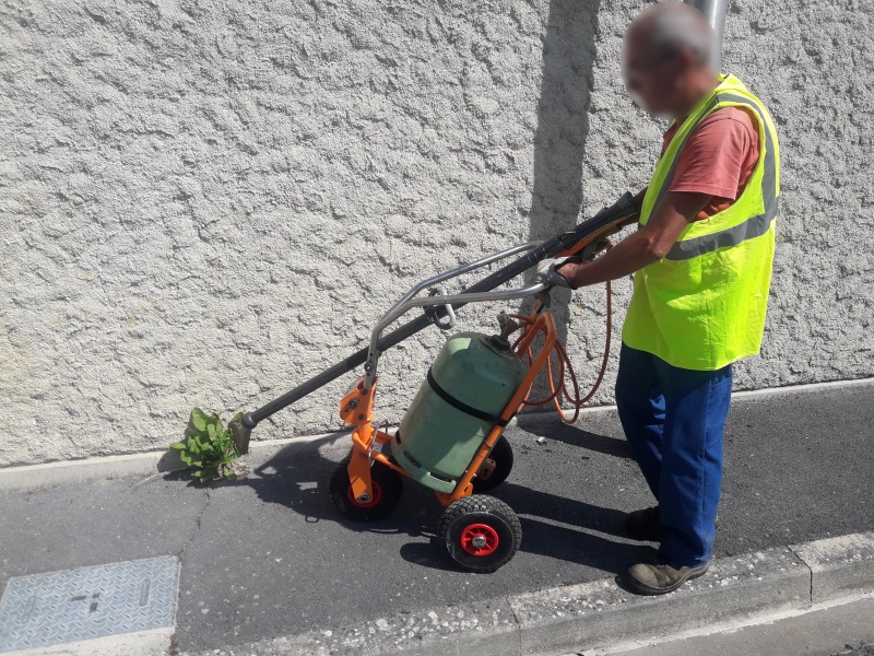 Mourmelon ville fleurie 2018 16