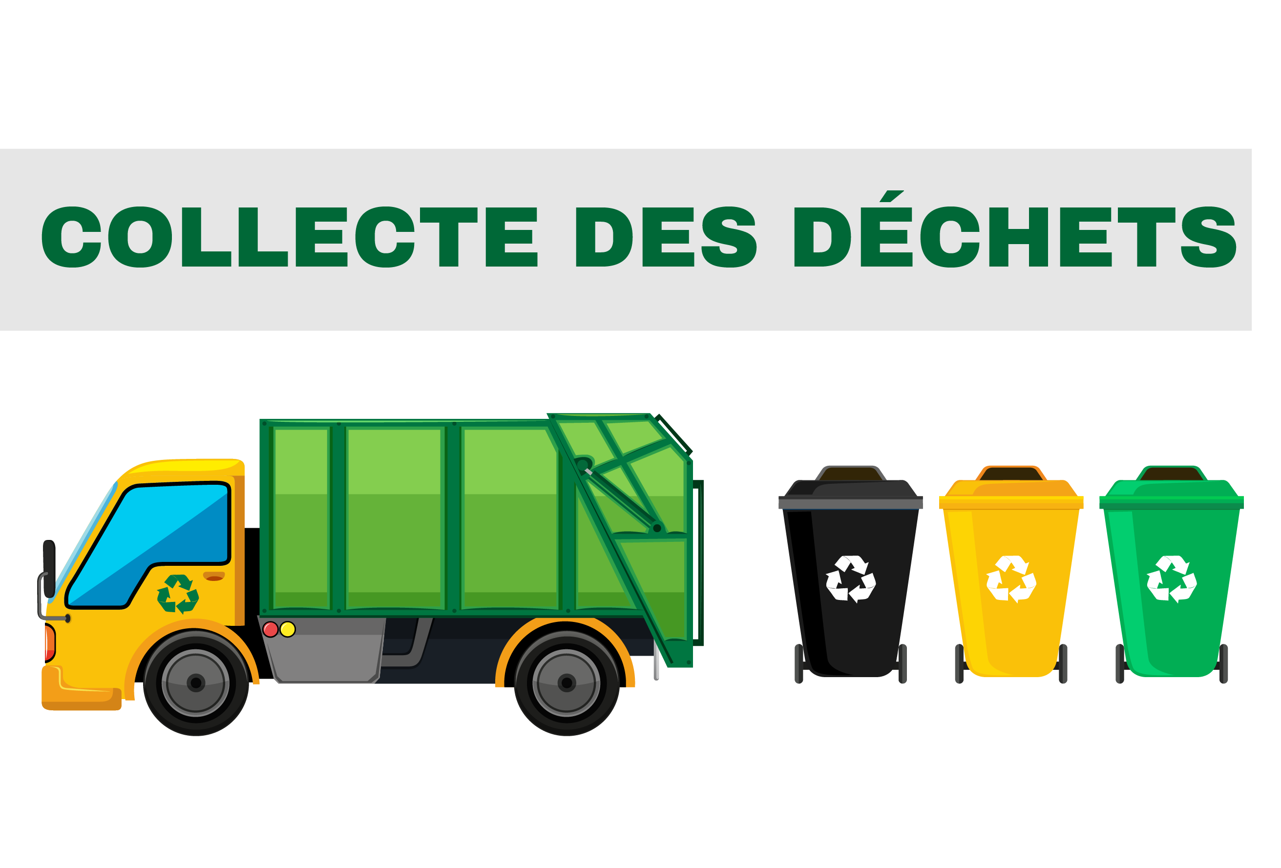 Collecte des déchets 2024 : tout ce qu'il faut savoir
