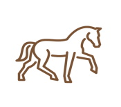 agenda-equitation