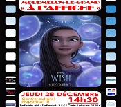 Mourmelon-2023-12-28-cinema-wish-mini