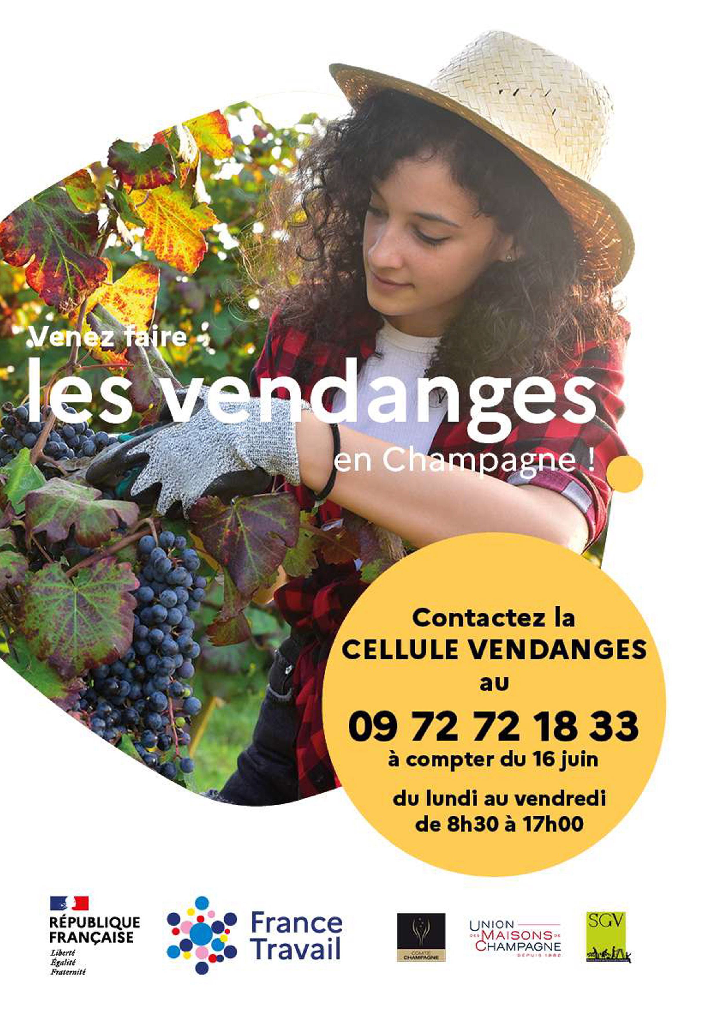 vendanges